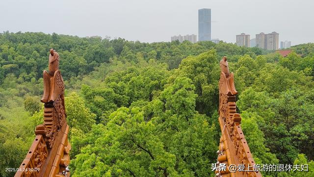 出游第7站-岳阳：因去的不是时候,愉悦与失落参半,岳阳楼值得登吗
