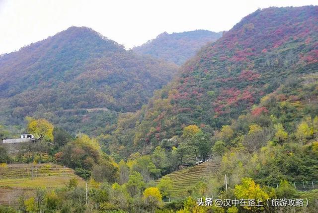 汉中出发沿嘉陵江跨省自驾，把秦巴深秋的美景装进车窗～图片