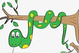 为什么你家“招蛇”，常有蛇不请自来？说明了三个真相图片