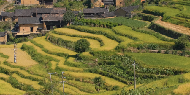 想和你在武夷山，赴一场秋色之约