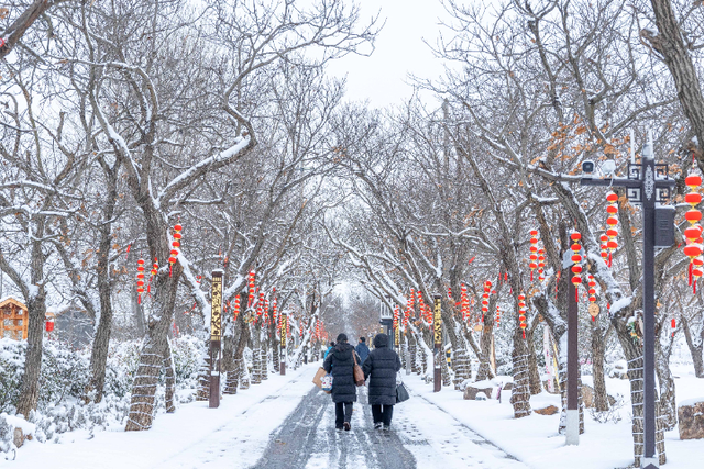 雪后的盐都，每一帧都是壁纸