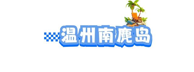 体荟四季｜冲浪、赶海、骑行...江浙沪这些 “动感海岸线”激活你的整个夏天