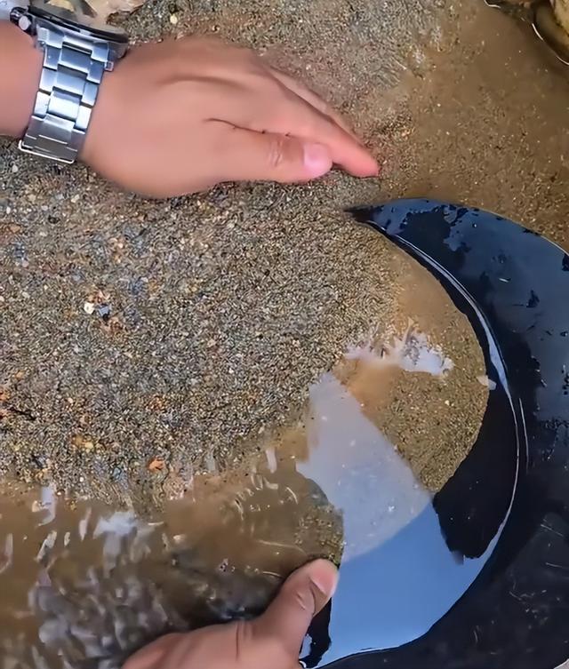 国庆“金矿游”爆火！花几十块就能淘金，淘到还能带走！