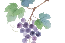 雨涤青春志，淬炼正当时——育英中学2025级高一新生军训开营图片