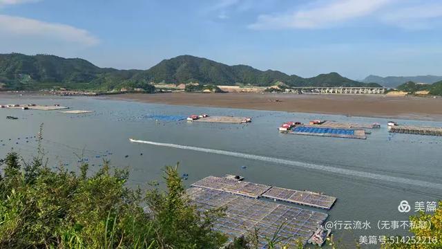 彩色旅图|光影里的霞浦:滩涂、古树与渔排的诗意时光