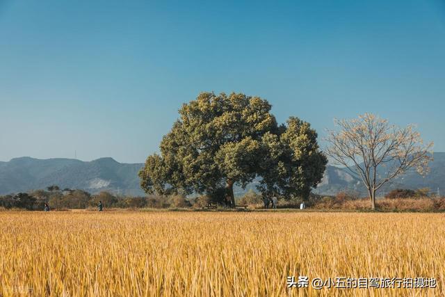 良渚古城一日游攻略｜穿越 5000 年文明，高效打卡世界遗产