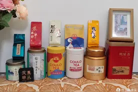 喝过二十多种鸭屎香，我也算鸭屎王了吧？图片