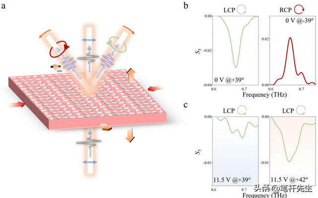 存储技术迎革命！太赫兹光操控奇异材料，破解摩尔定律困局