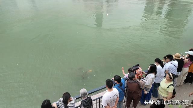 川南头号“黑马”城市，拥有多张响亮名片，实力直逼绵阳有何底气