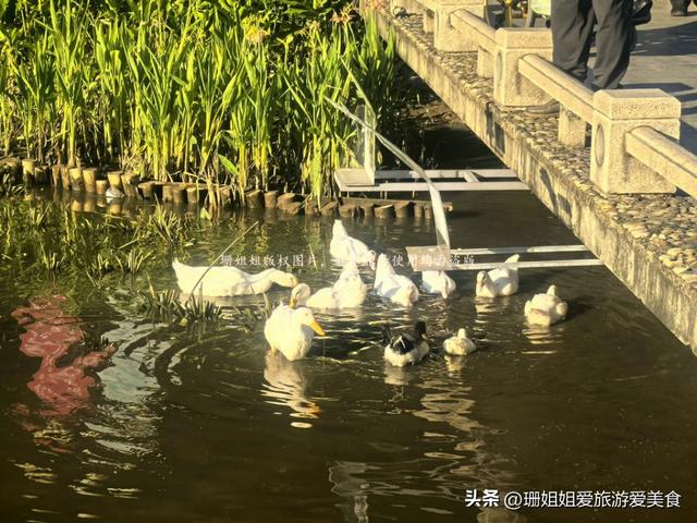 东山湖冬天最佳游玩地：拍广州风景一线天，还是候鸟观赏圣地