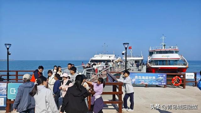 突破100万元！东大洋“海上穿越大桥”航线火爆出圈