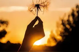 ＂人间归离复归离，借一浮生逃浮生＂图片