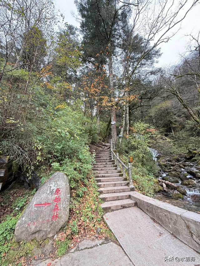 北京自驾长江三峡、神农架之旅（6）