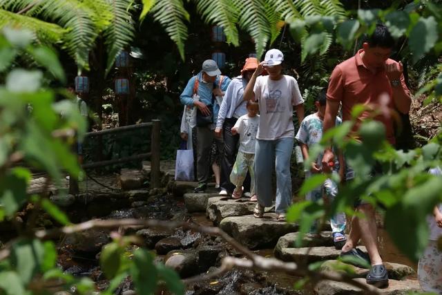 进山去,玩尽兴!这个“五一”在海南热带雨林逐绿觅凉