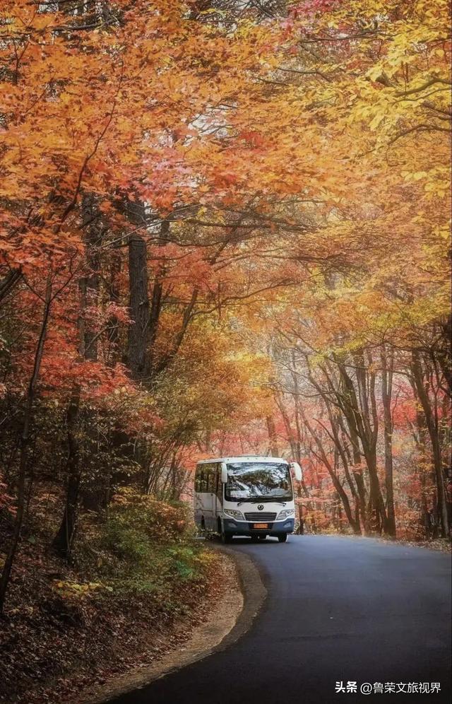 本溪：北国红枫深处的诗意秘境
