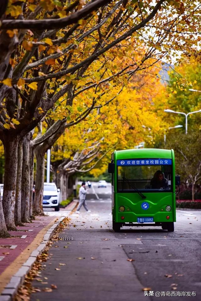 走不出这画了,我已被西海岸的秋景迷倒 🥹