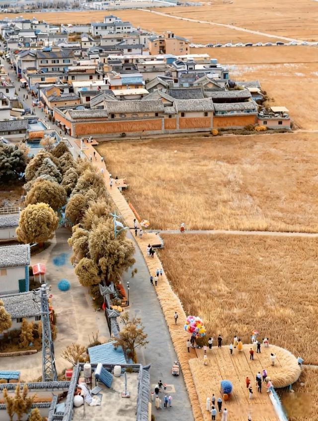 “这里是哪里？”“毛绒绒的大理~~”