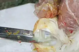 除掉“滑液囊支原体”感染，答案就在（这个方案）里边！图片