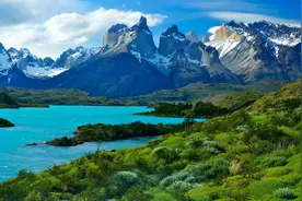 关于描写蜻蜓的观察日记（精选31篇）图片