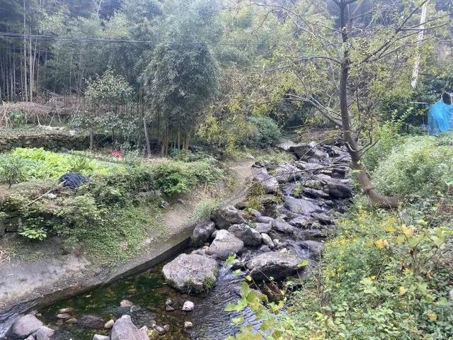 突然火了！有杭州人说，“我家四五代人都住在这里，根本就不知道......”