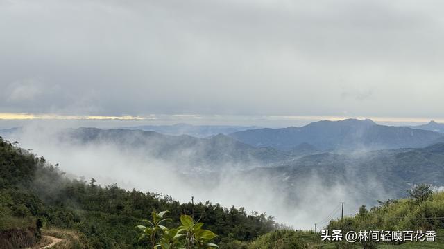 在厦门离星空最近的营地，遇见久违的放松快乐，追逐向往自己的风