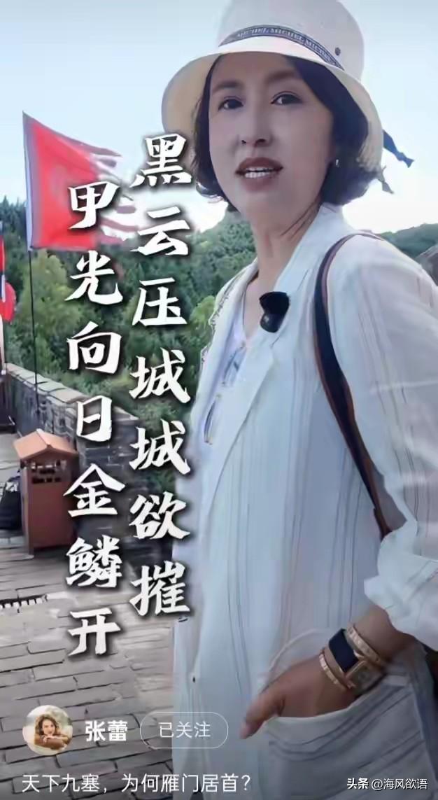 张蕾一身素白走雁门关古道，城砖上的刻痕，竟全是历史干货