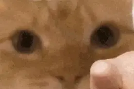 微信团队你记着 已读显示和访客记录这两个功能 你一辈子不许动 ​图片