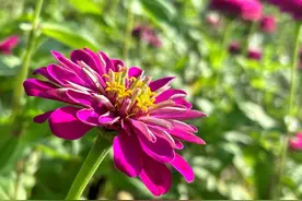 男人过了50，还在婚外找新欢，原因只有一个图片