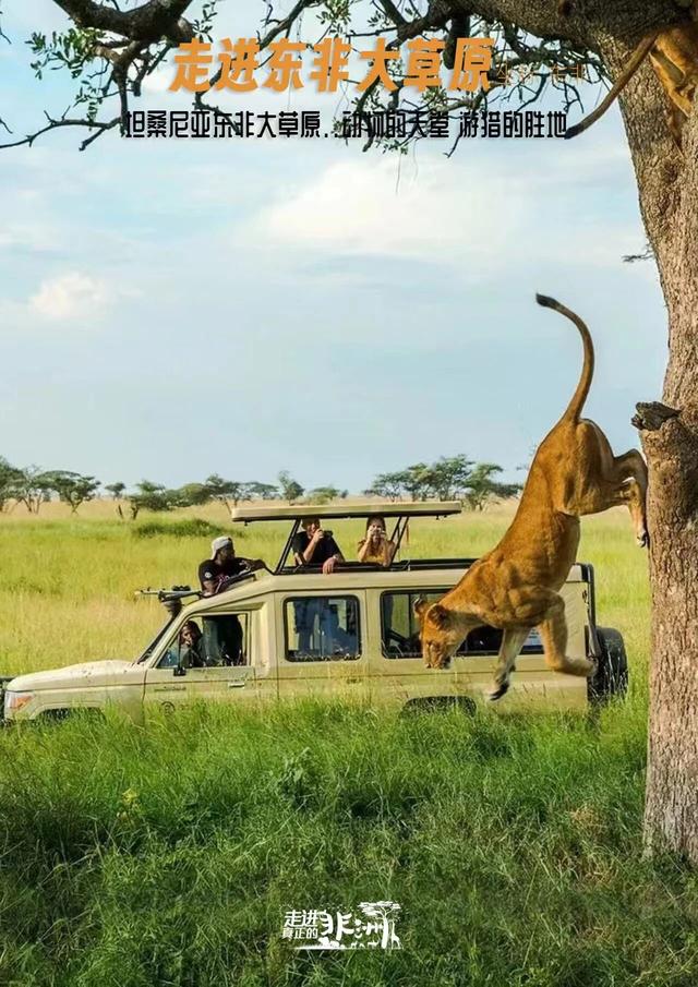 连穿五国，东非Safari！一次前所未至的旅行，人生清单再完成一项
