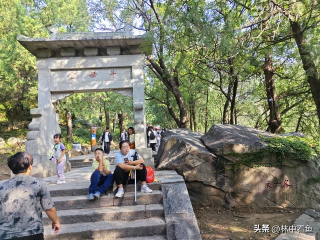 徒步登泰山之一——3小时从一天门到中天门