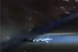 徐汇滨江滩涂趴着一条鳄鱼？有人拍到视频图片