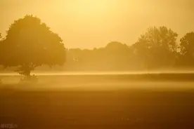 离开前公司5年，没想到女老板突然遇到我，她请我吃了一顿饭图片