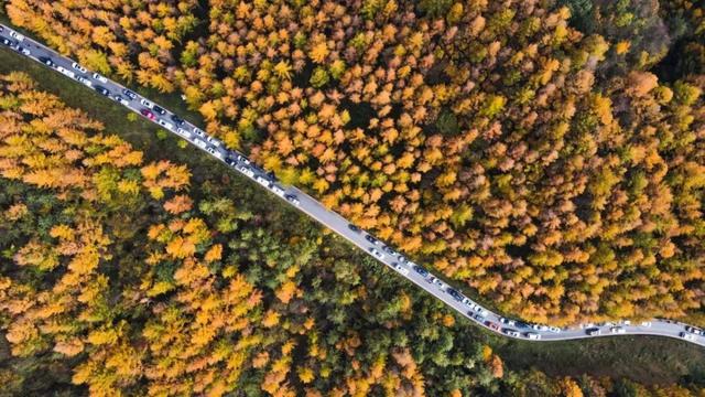 广元不远 周末优选 | 初露染山河，广元发来一份秋日邀请函