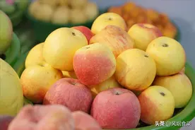 终于知道富士、花牛、嘎啦、金帅，蛇果，国光，这些苹果的区别了图片