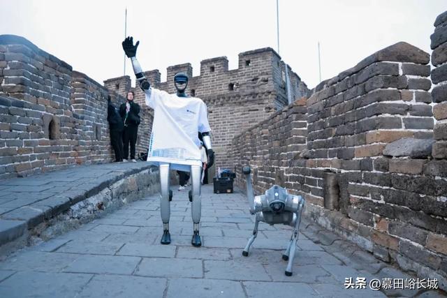 【元旦观日出】早鸟票重磅奉送 最大优惠200元!!!