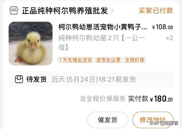 “鸭中爱马仕”跌落神坛，从上万一只到300元甩卖无人在意！