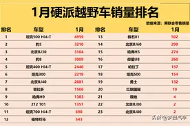 1月硬派越野车销量排名：坦克500 Hi4-T夺冠，豹8前五，普拉多第八图片