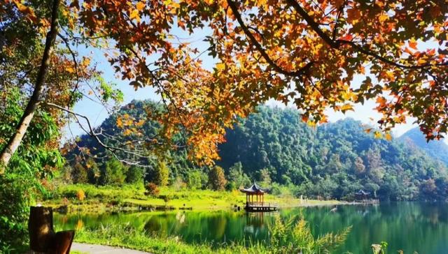 反向操作,解锁广西隐秘秋色!7天6夜避开人潮的治愈之旅