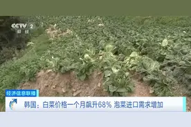 飙涨68%！韩国，白菜零售价达32元、一个西瓜卖173元……图片
