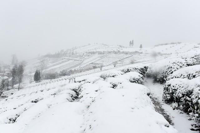 “最怕小雪是晴天”，今日小雪，晴天有啥预兆？看看农谚咋说