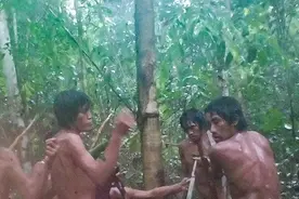 巴西原始部落首次被拍！人数、习俗至今成谜，这是真·桃花源人图片