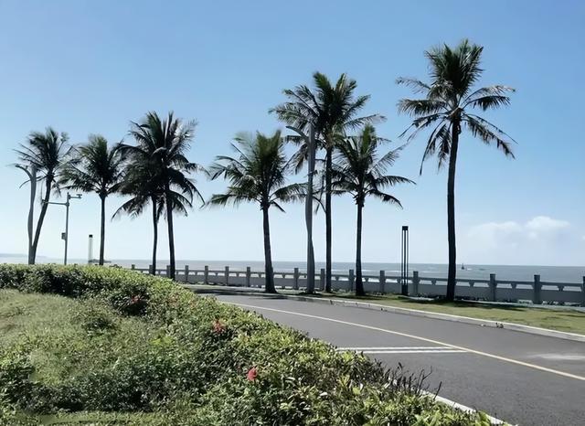 银发族暖冬天堂！海南避寒养生全攻略，让你玩得比年轻人还溜
