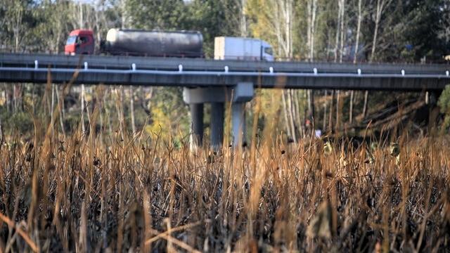 老钢笔里的记者节故事