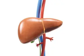 这个部位长“小红点”，可能是肝脏出现问题？最好及时查CT图片