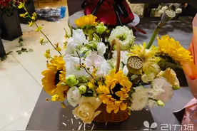 荷花睡莲向日葵……您的夏花已上新图片