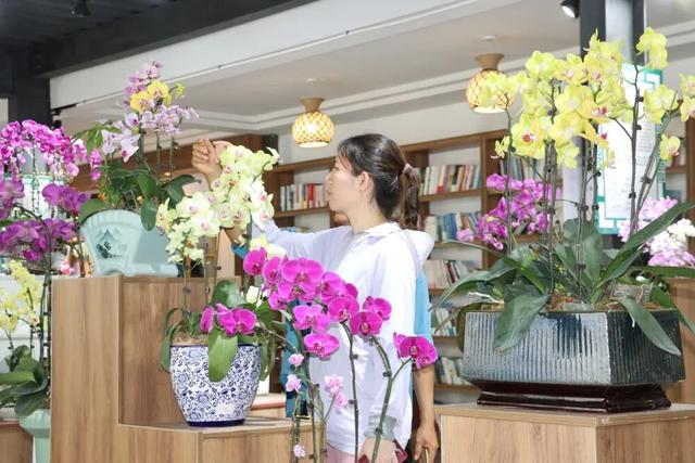 清明踏春棋子湾，四条线路解锁春游玩法