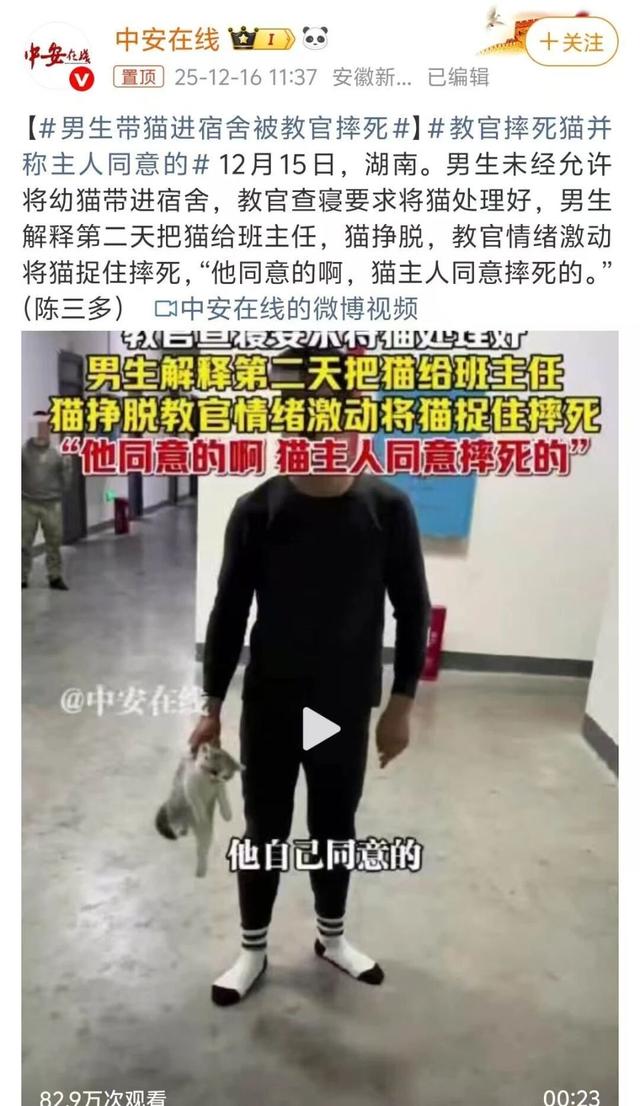 查寝摔猫致死宿管抱怨“被网暴”：“谁养的都不敢承认，怪得了谁”
