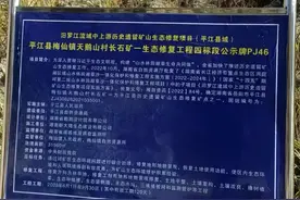 湖南平江：国家级生态修复项目招标施工现“漏洞”图片