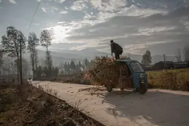 一位扶贫人员对大凉山彝族的评价，说出了现实的无奈图片