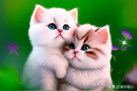 深情一爱，便是安暖的归宿，所爱之人，永远无人可以替代图片